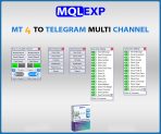 MT4 to Telegram Multi-Channel Signal Provider | MQLEXP