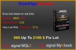 DowAlgo Breaker EA