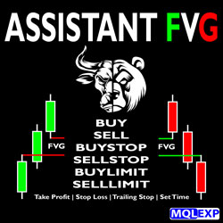ASSISTANT-FVG250-250