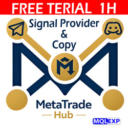 MetaTrade-HUB-logo250