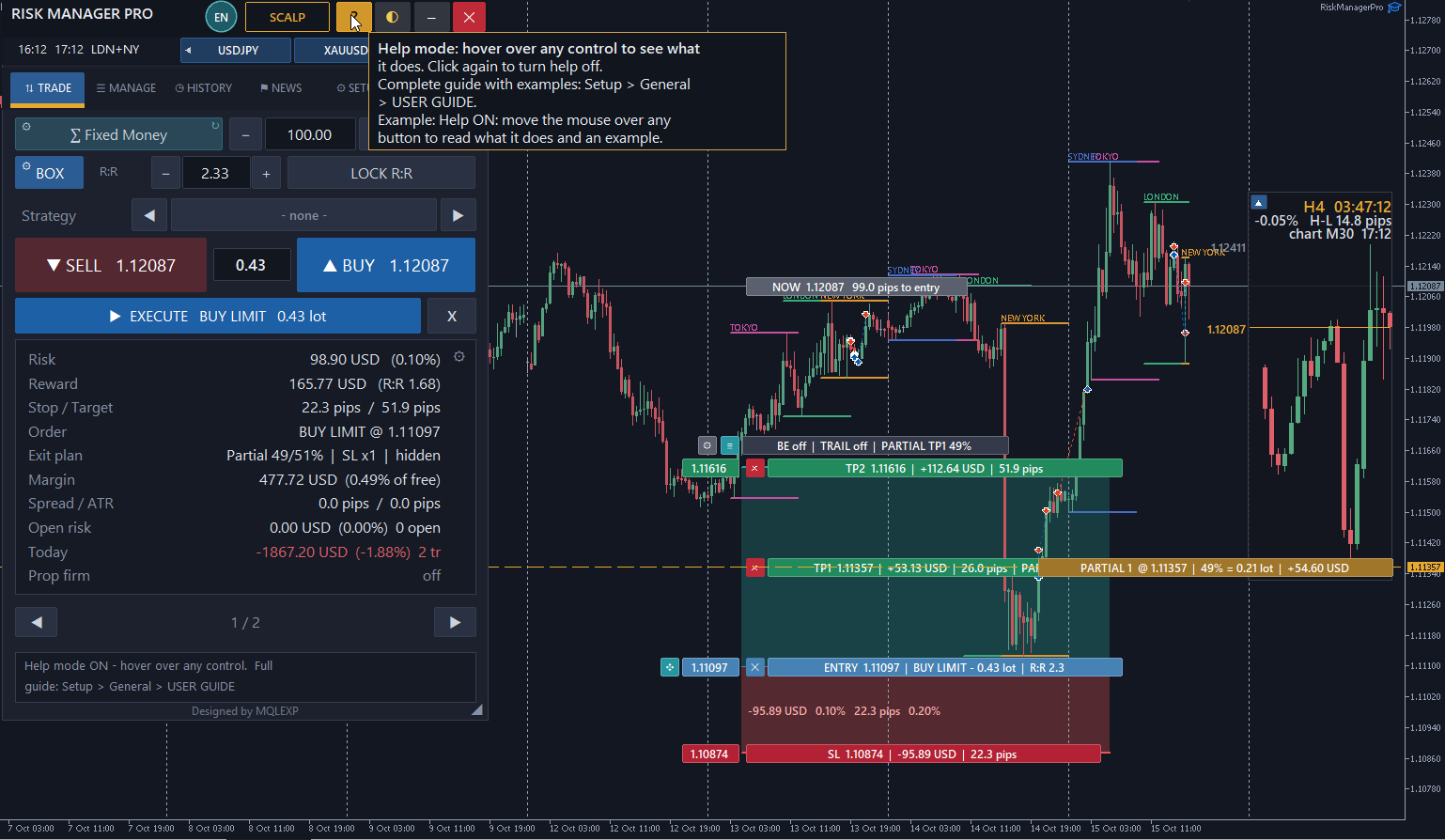 Real screenshot of Multi Risk Manager Pro built-in Help Mode showing tooltips for MT5 panel controls